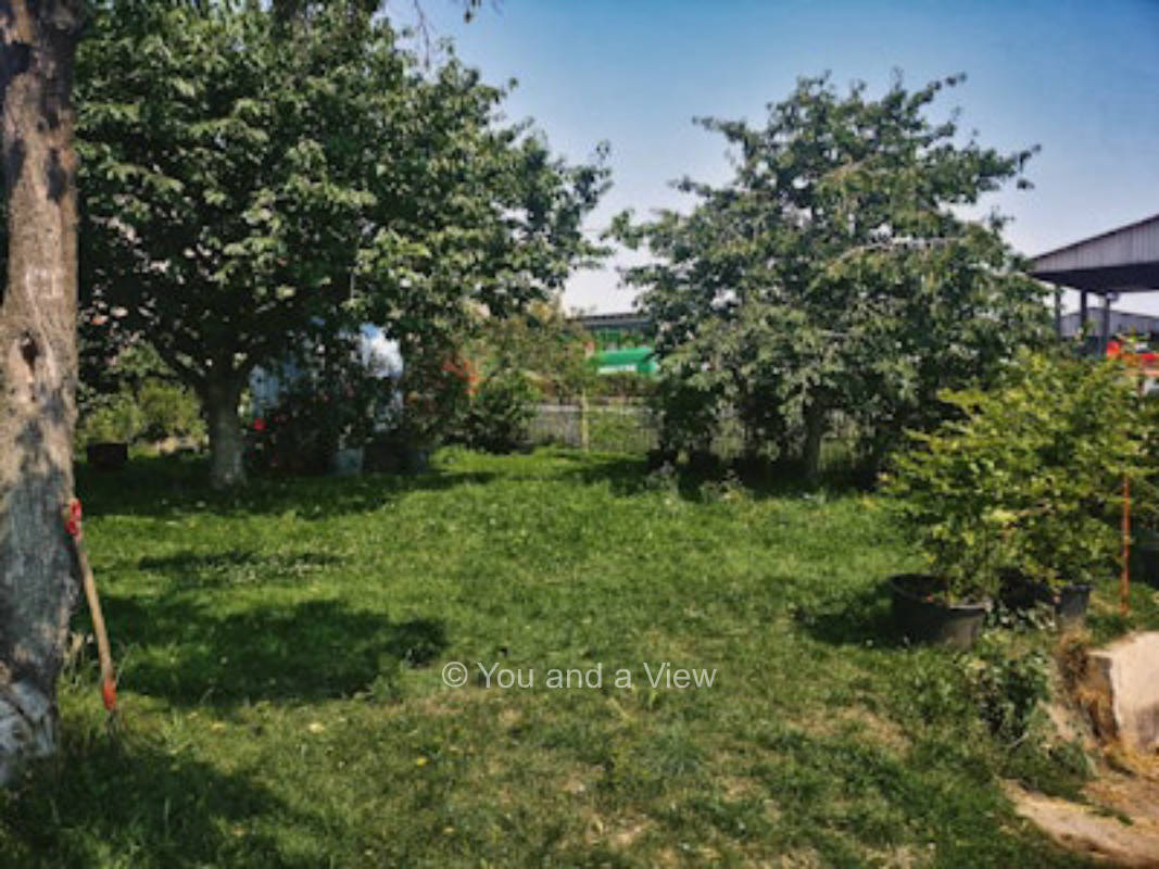 Obstgarten zur Pferdewiese Einzelplatz