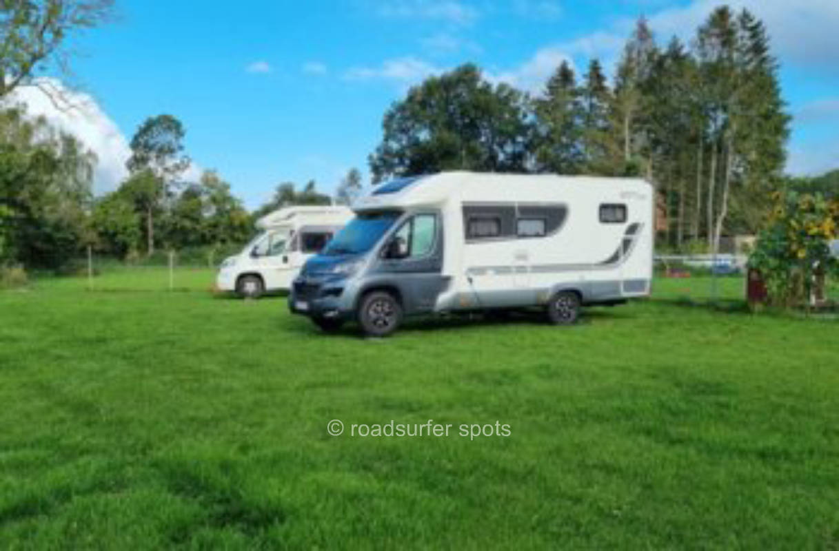 Bei den Schwedischen Blumenhühnern