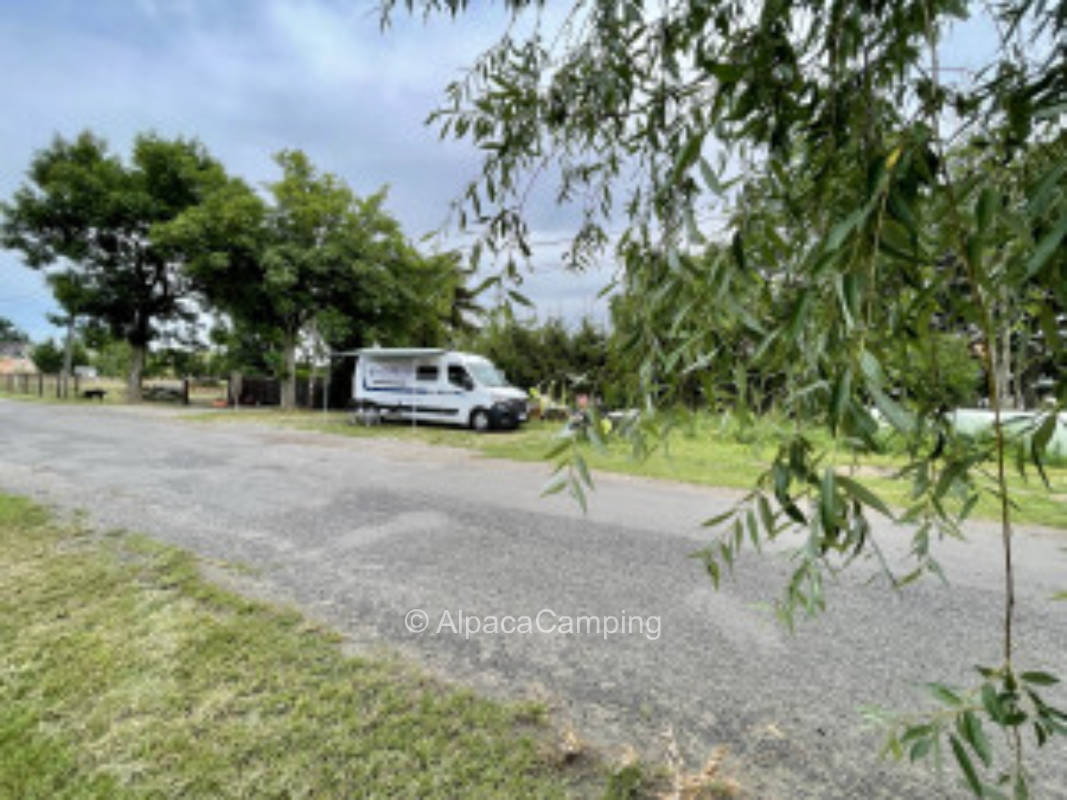 Pitch on the path #1