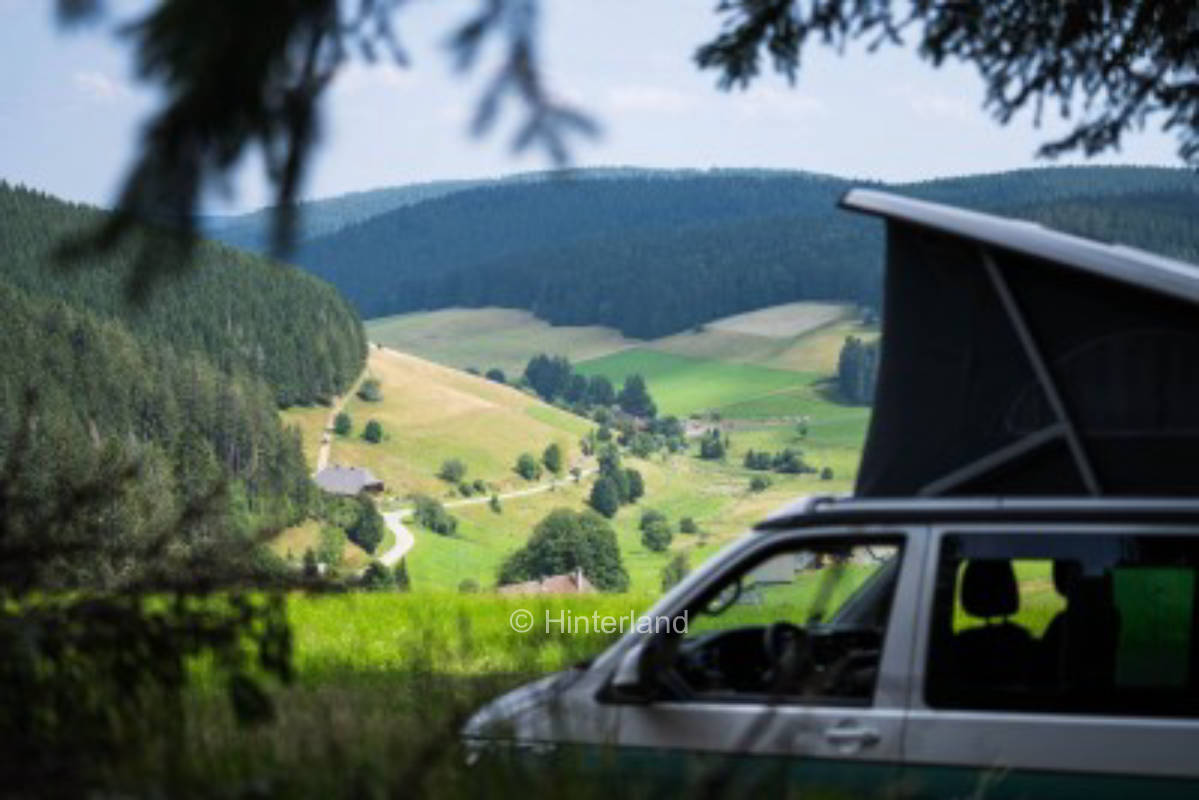 On the edge of the forest in the Black Forest with a view