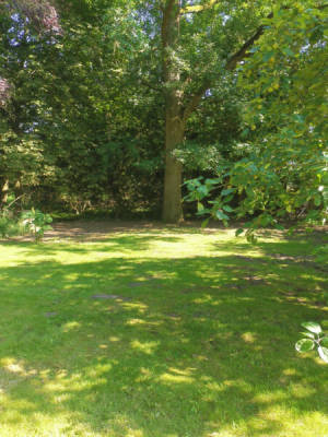 Space for tent, caravan, van, motorhome, roof tent (Campspace 18473)