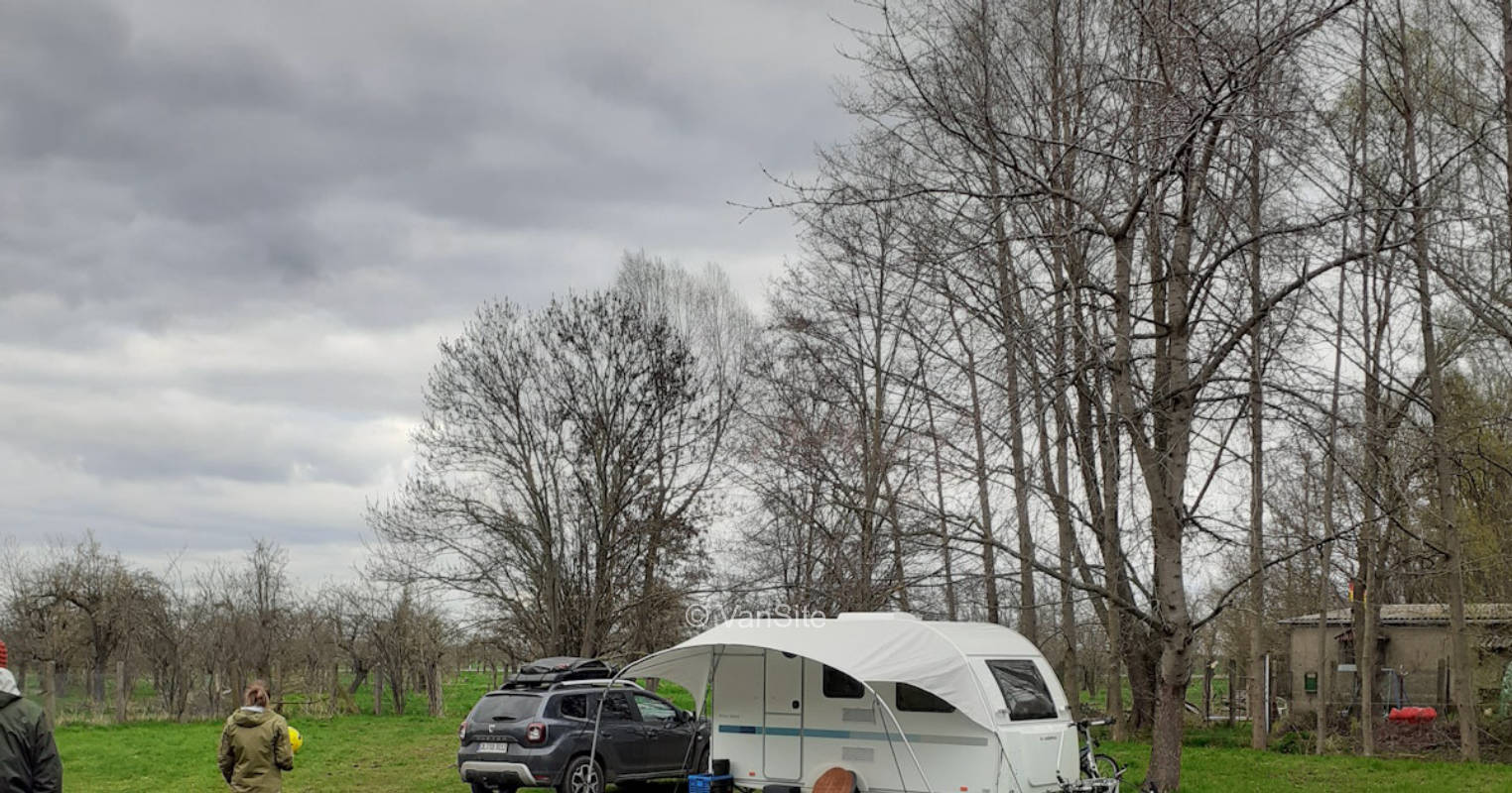 Wiese an der Pferde- Rinder- Koppel / Obstwiese