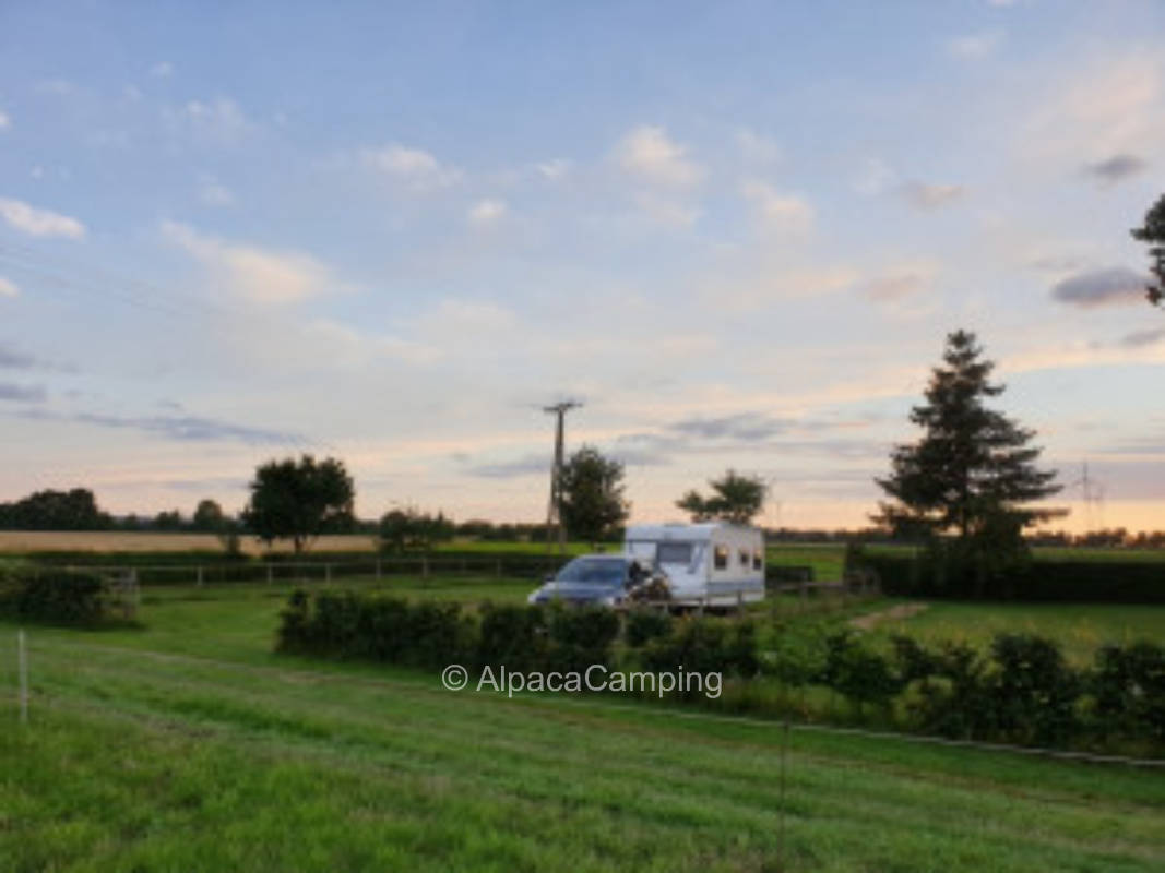 Sunny overnight accommodation in old pony meadow