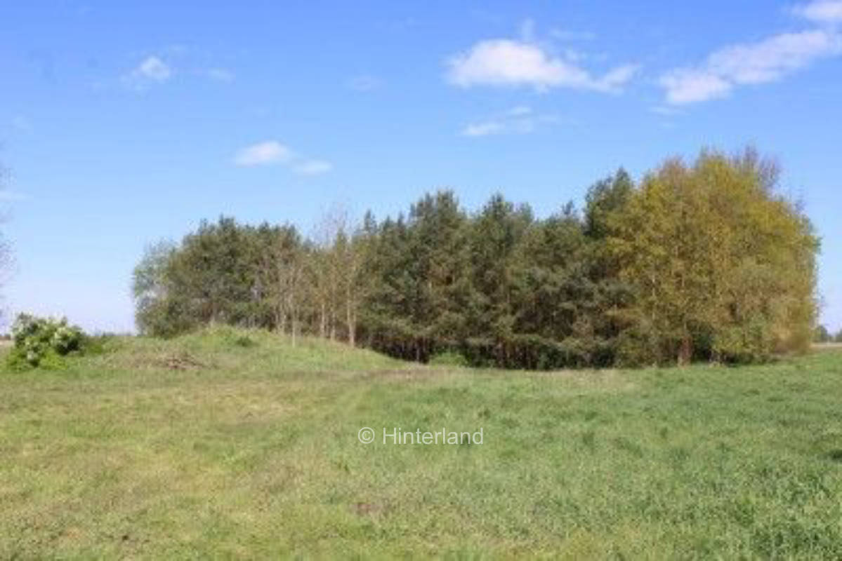 Camping auf der Waldinsel 