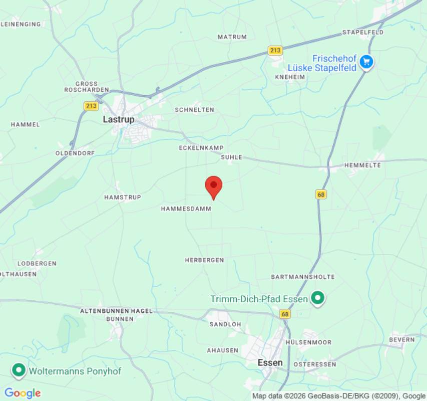 Platztyp für 4 Personen (Campspace 25604)