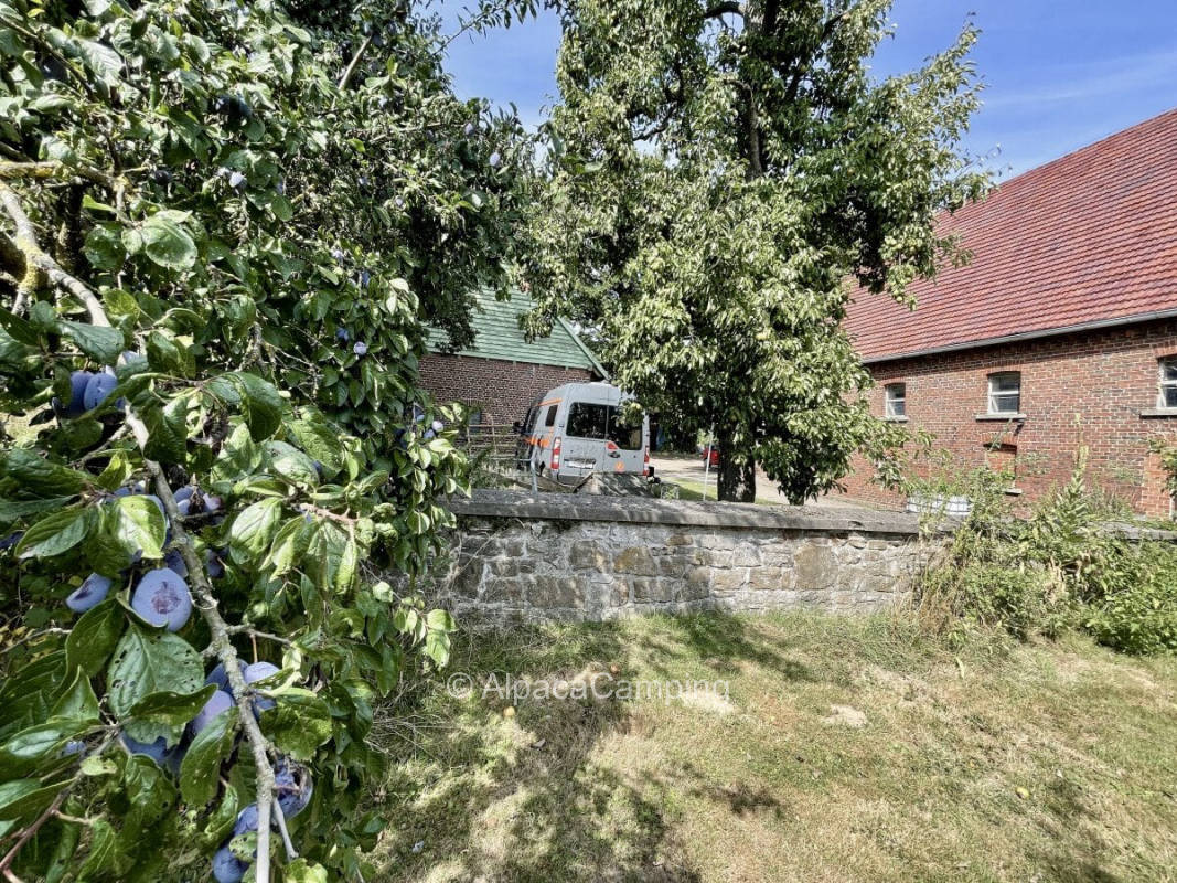 Accommodation on a quiet farm #1