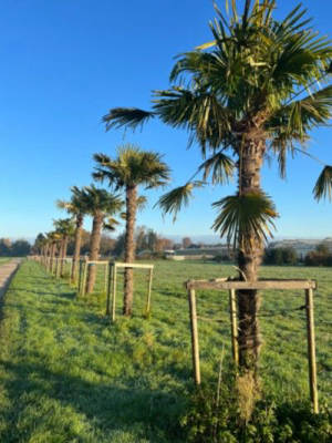 Mediterranean Nature Experience at the Lower Rhine