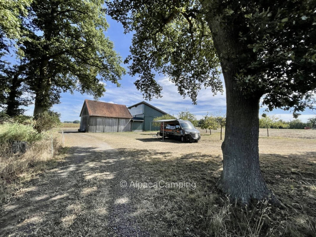 Spacious meadow with beautiful view over fields in quiet location