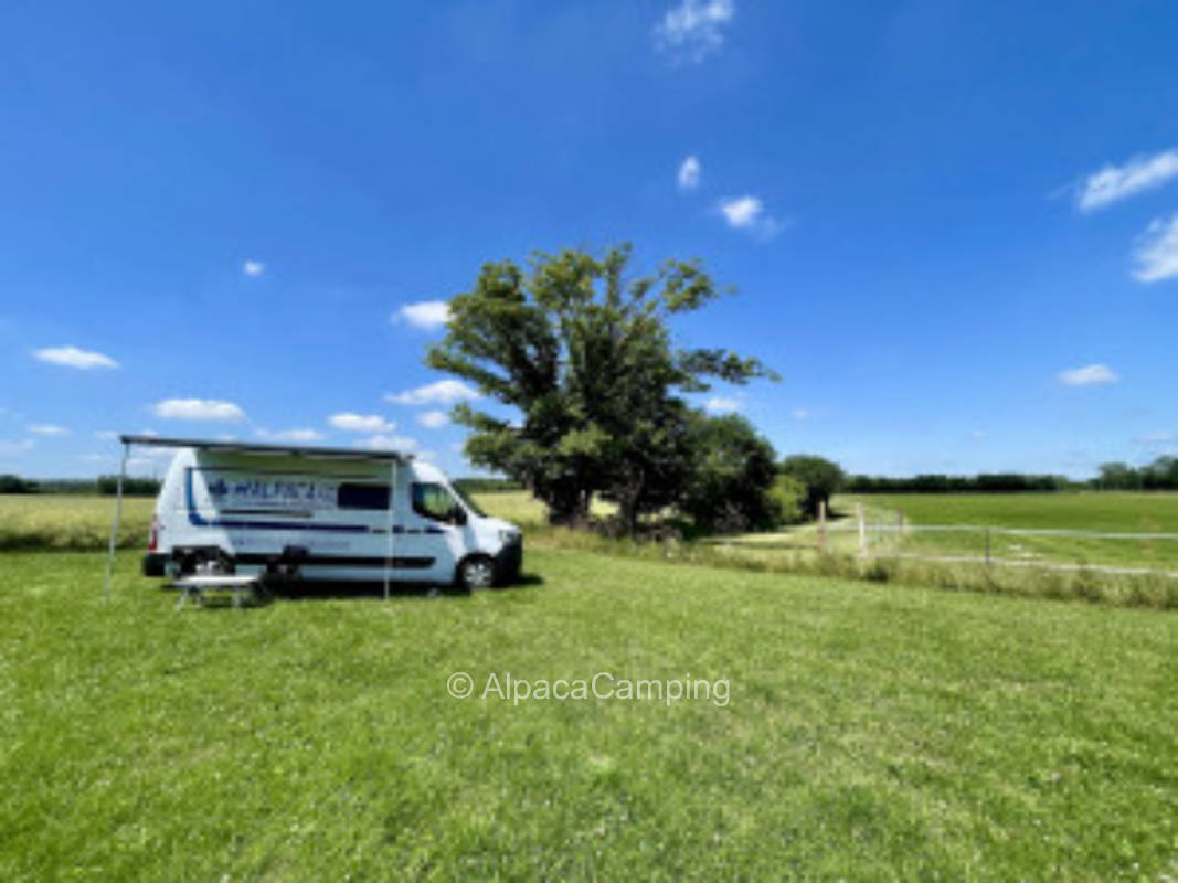 Meadow pitch with a view of nature and the setting sun #2