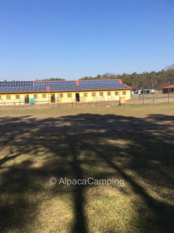 View of the pastures #10