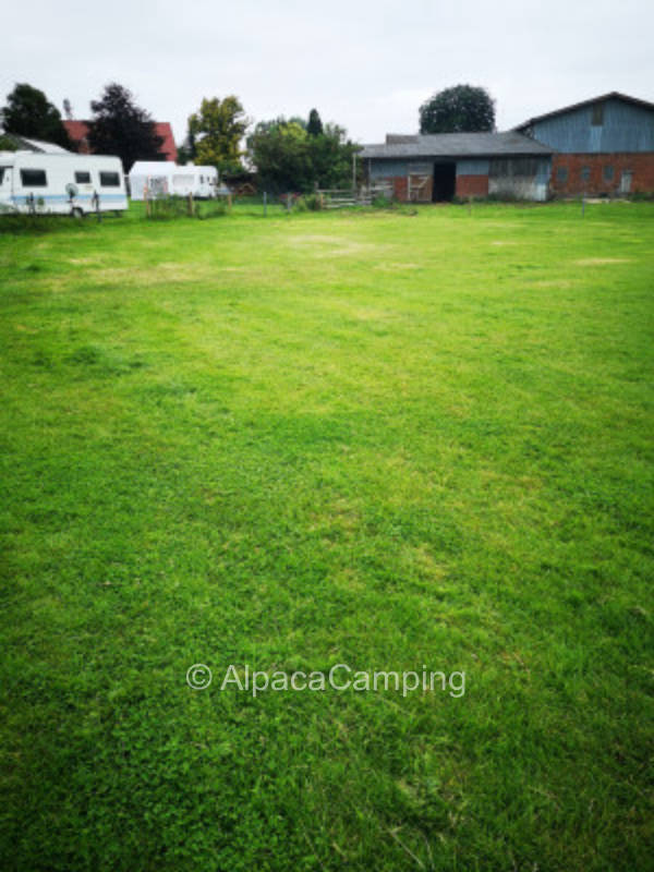 Stellplatz Camping Mielsdorfer Aue #2