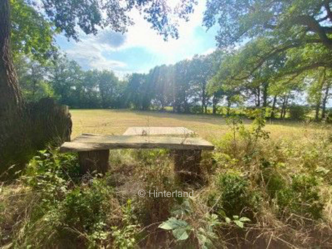 Idyllische Wiese am Tieberteich in Alleinlage