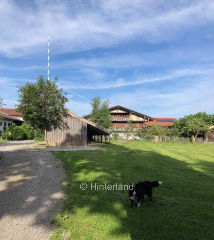 Bürg beim Maibaum kurz vor dem Tegernseer Tal
