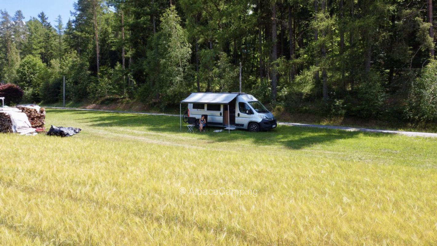 AlpacaCamping 5360