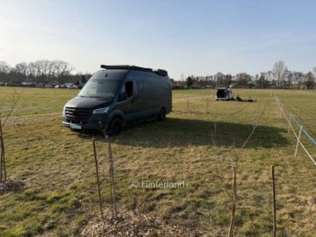 Ruhige Naturwiese - mit Blick ins Grün