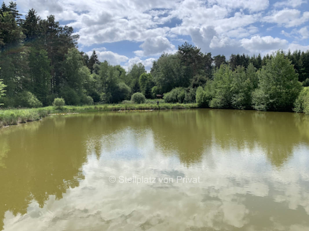 herrliche Wiese mit alten Apfelbäumen 7€/Tag und Person