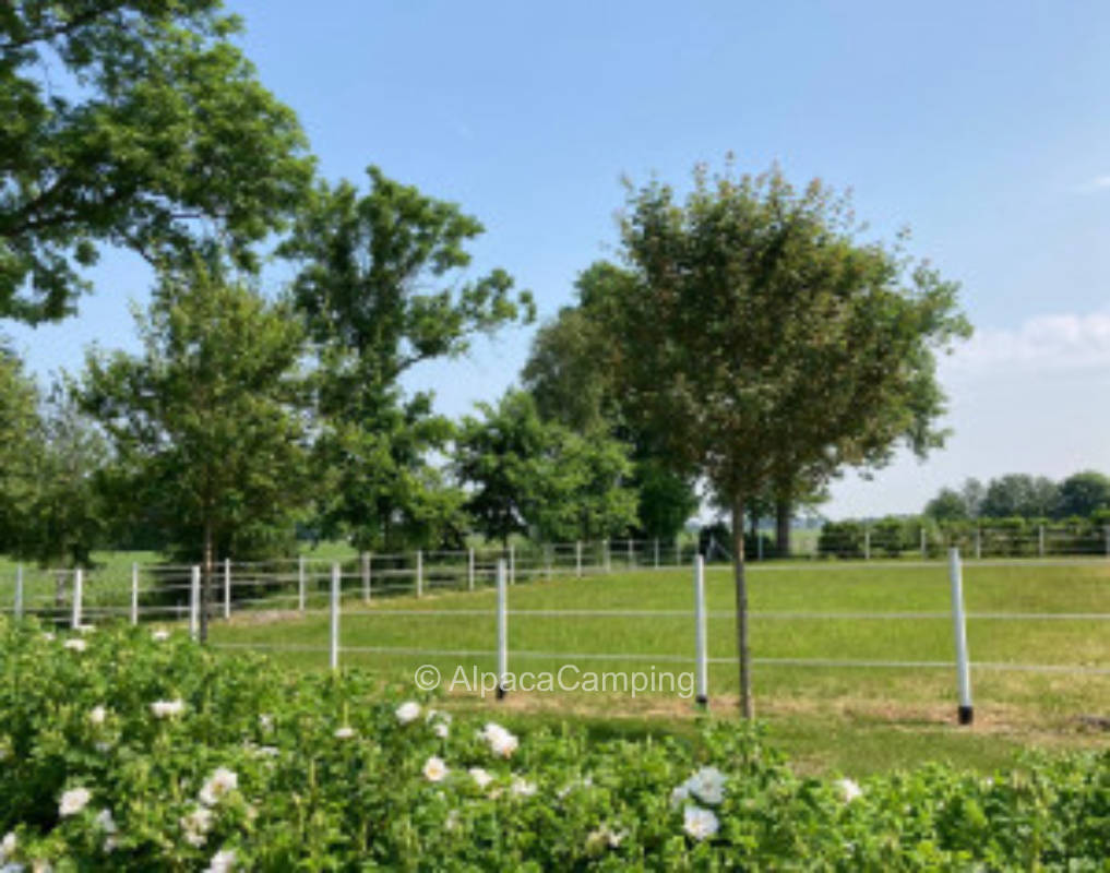 Single parking space near the North Sea