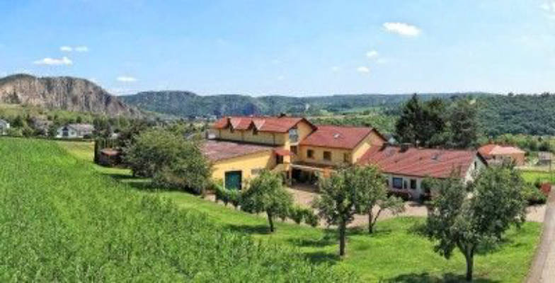 Camping auf dem Weingut 