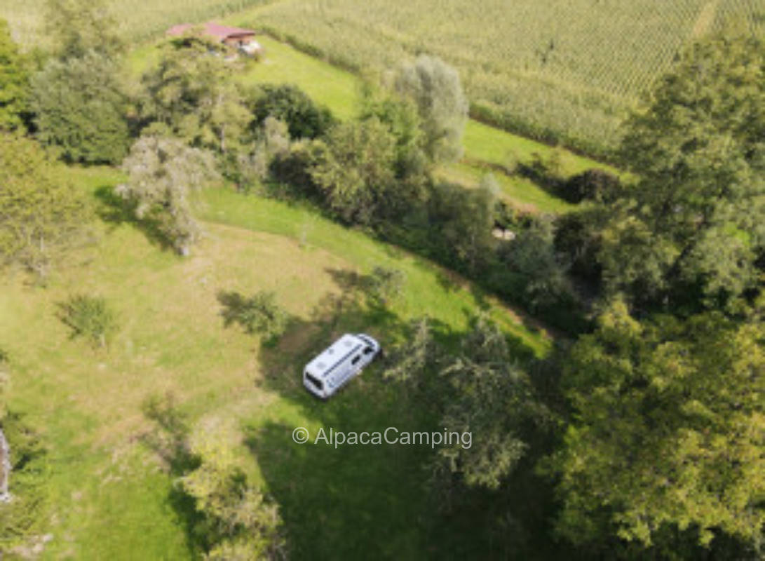 Wo sich Tiere wohl fühlen, blühen auch Menschen auf #2