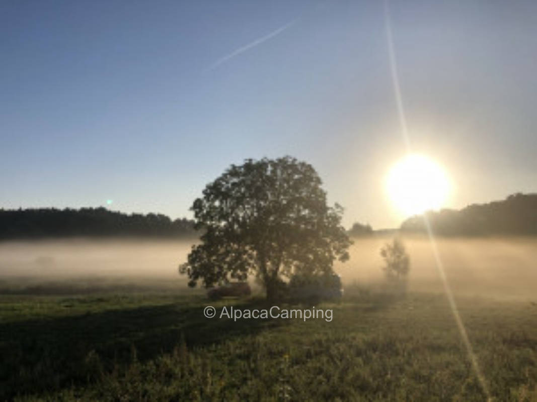 Old farm with nature idyll in city fringe location
