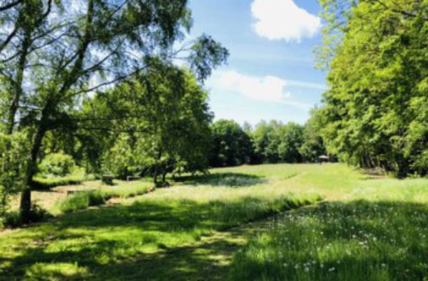 Vanstellplatz: Ruhiger Waldspot am Lagerfeuer