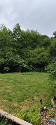 Retreat in the Bergisches Land - Camping at the Forest Edge