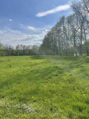 Sternenhimmel fur familien