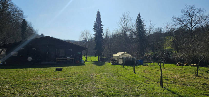 Platztyp für 6 Personen (Campspace 31224)