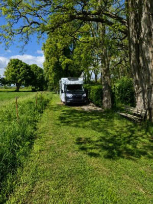 Camp at the Field in the Harz
