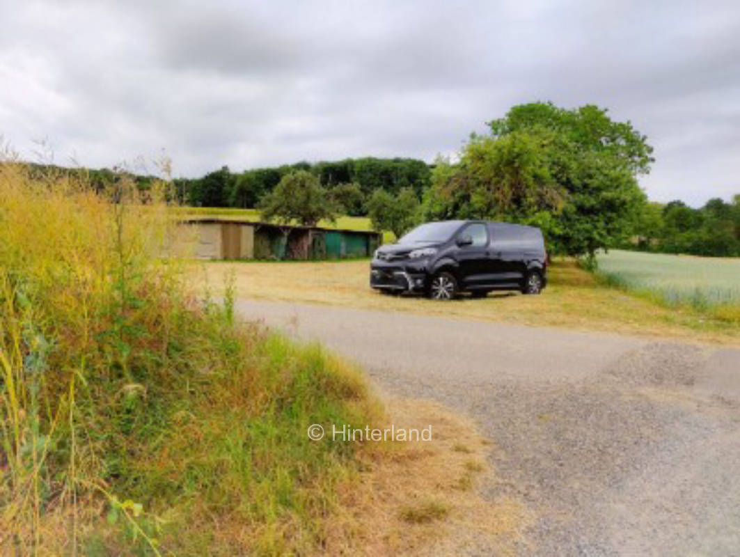 Auf der Obstbaum-Wiese inmitten von Feldern