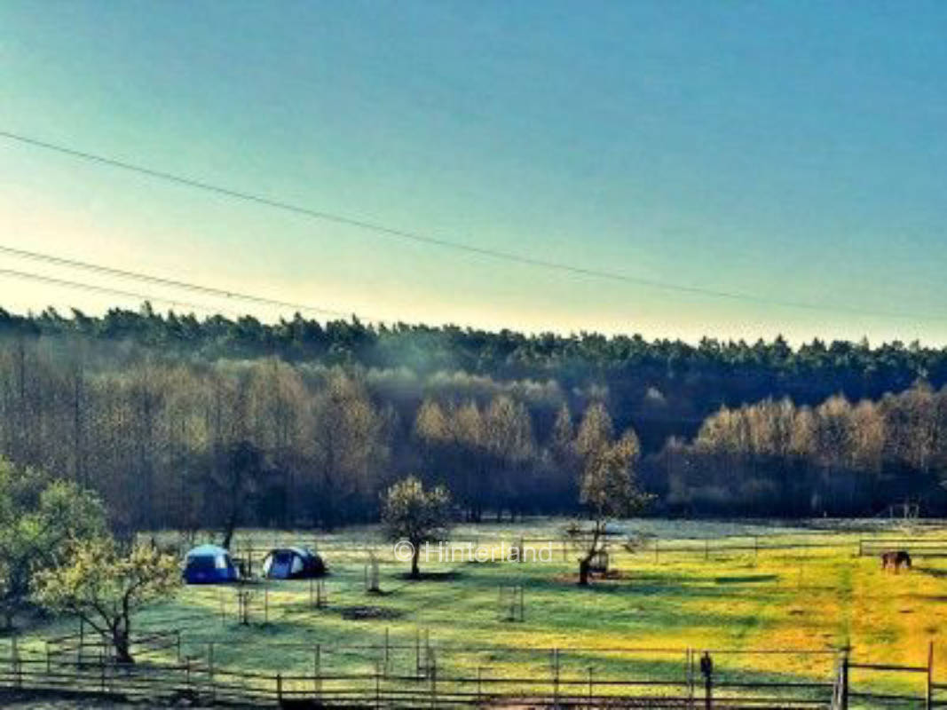 Camping on the donkey paddock