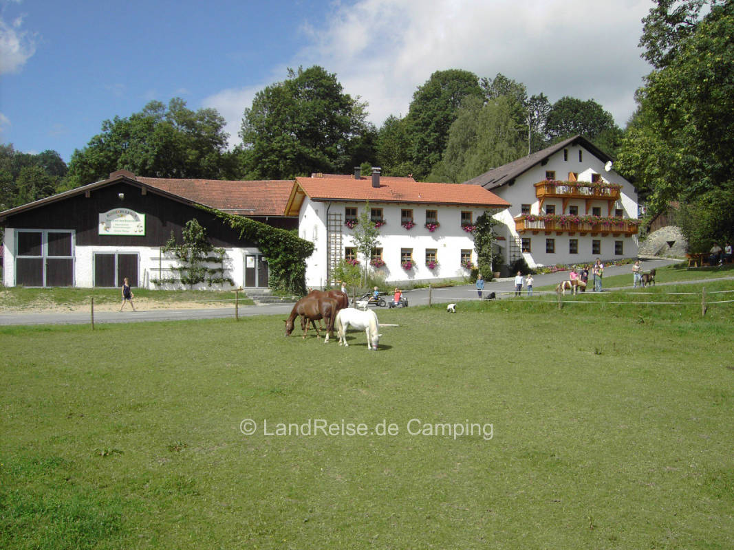 Kinderparadies Höcker - Bio-Bauernhof