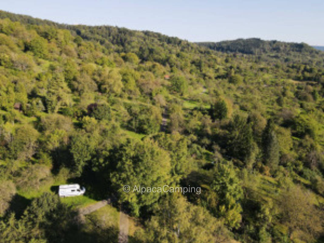 AlpacaCamping 789