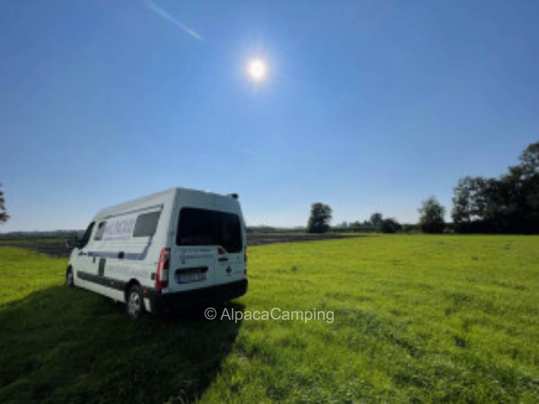 Wiese in ruhiger Lage #2