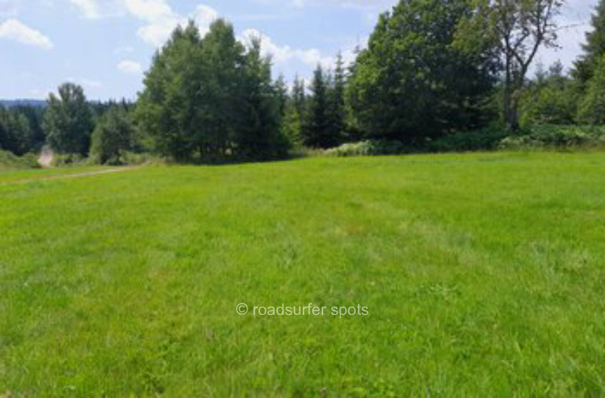 Waldwiesenstellplatz im Südschwarzwald