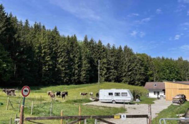 Camping Ehwiesmühle by the babbling brook