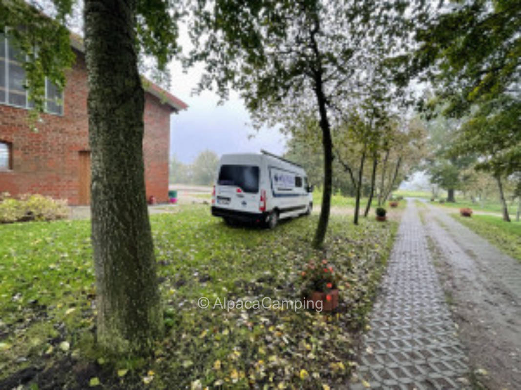 Horse farm North Frisia #2