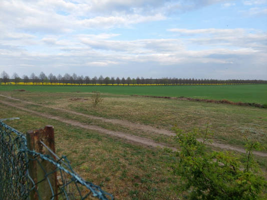 Nature pure in mecklenburg vorpommern