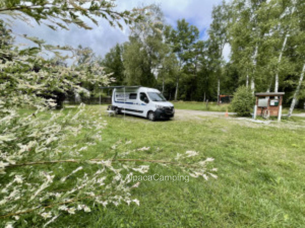 Wiesner´s Teichwirtschaft #2