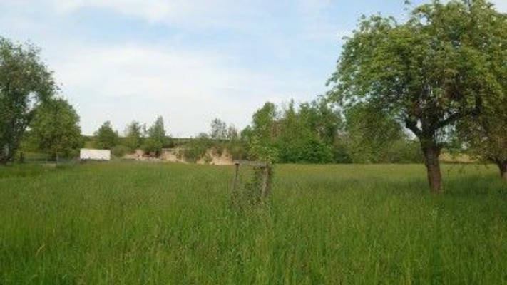 Natural meadow on a former sand pit site