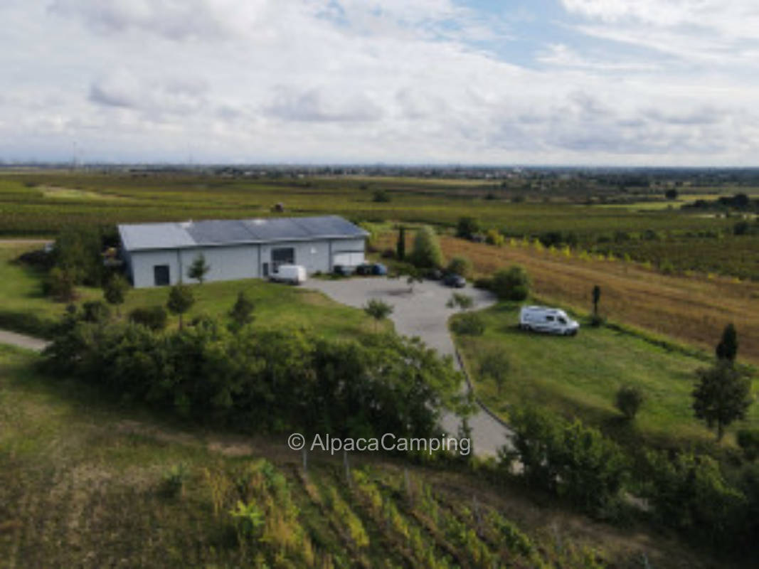 quiet location on the outskirts of the village in the middle of the vineyards with a view of the Palatinate Forest #2