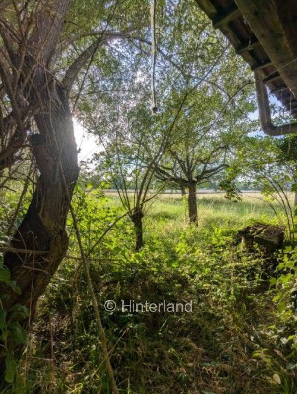 Idylle bei Bamberg mit Teich & Apfelbäumen