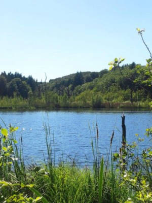 Camping auf ruhiger Wiese 