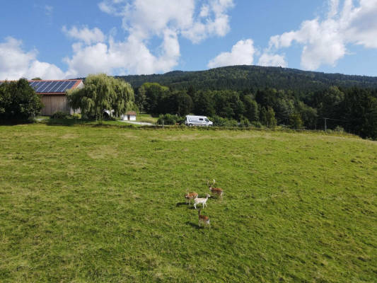 Wohnwagen & Wohnmobilstellplatz in Bernried