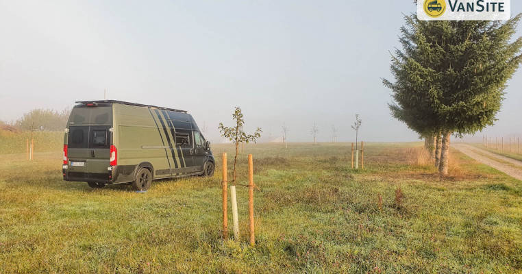 Orchard meadow on the Birch farm