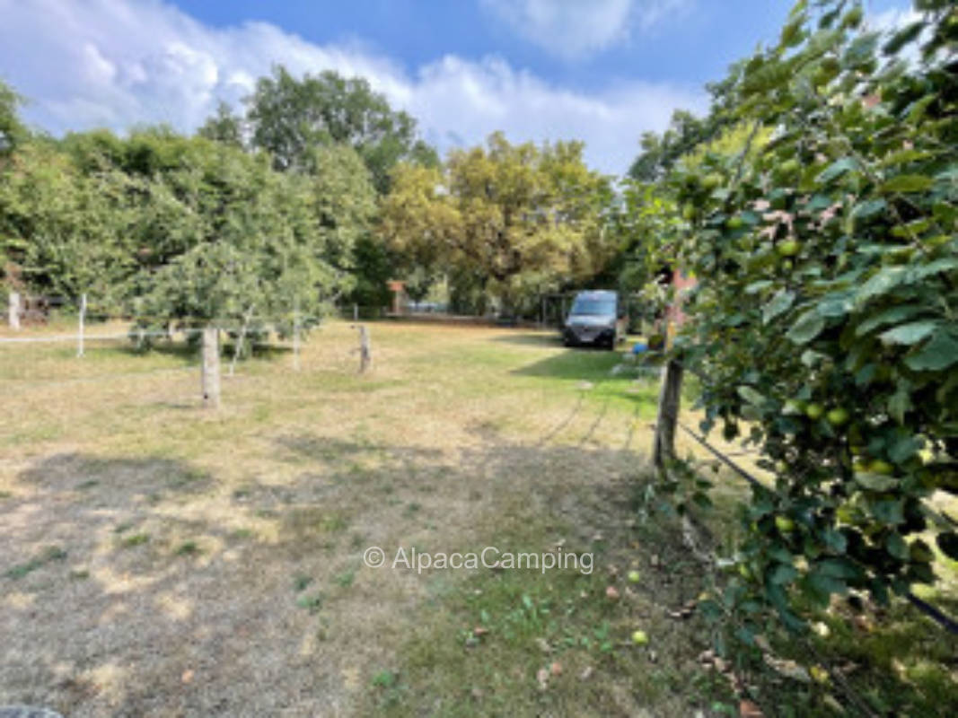 Pasture view #3