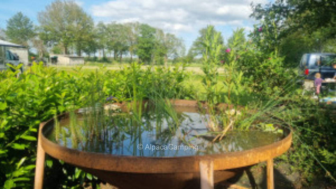 Hermann's pitch at the horse meadow #3