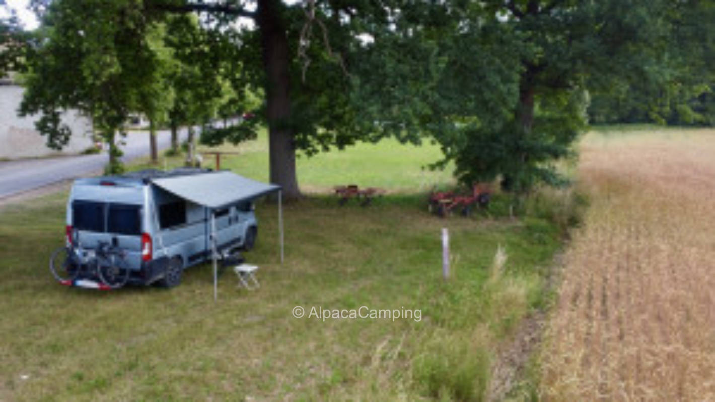 Under the Great Oak #2