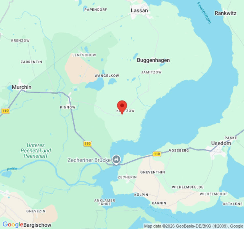 Unter Fichten am Dorfrand mit Blick zum Wald