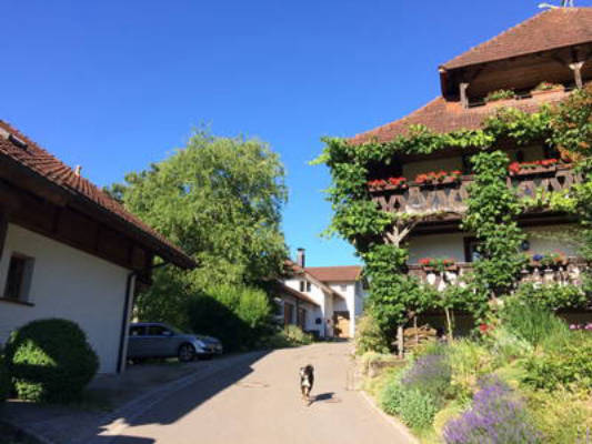 Martiburhof - Ferien auf dem Bauernhof